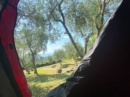 Il nostro risveglio toscano