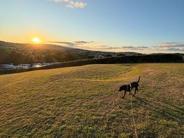 Great sunset view point.