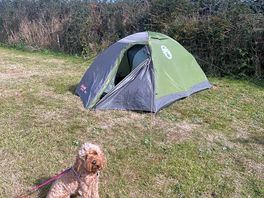 Level pitch & dog friendly!