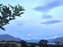 Evening view