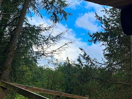 The view