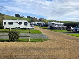 Some of the pitches