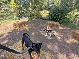Log fire