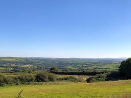 Great view