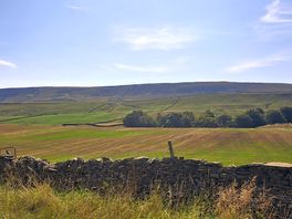 It's definitely worth the walk up penhill.