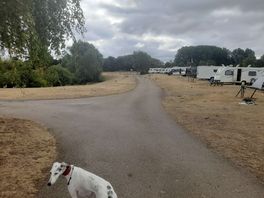 Around site