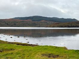 Shoreside