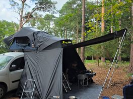 Tentbox with living pod in a clearing