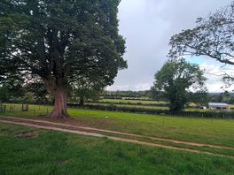 View from tent