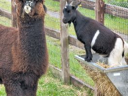 They posed for the photo