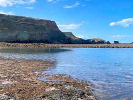 Whitby