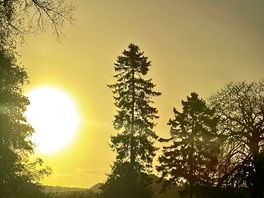 The sunrise at woodbridge