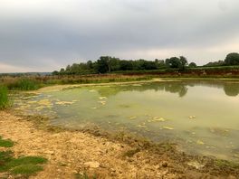 The lake