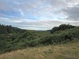 Views on nature walk