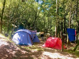 Shaded pitches in the woods