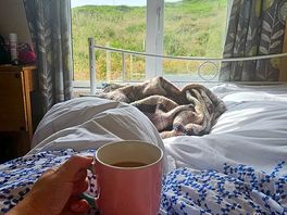 Cosy bed
