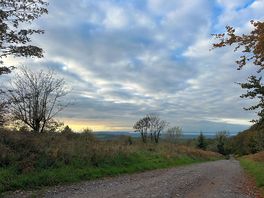 Walk near campsite
