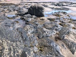 Rock pooling at crackington haven