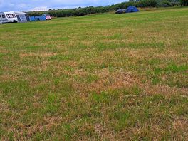 Site views