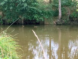 Ponds