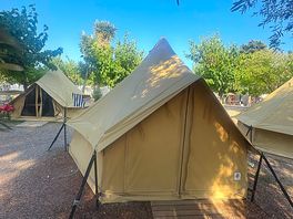 Acampada