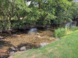 Stream next to tent site.