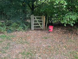 The entrance to the woods