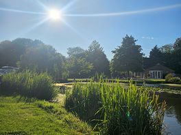 Beautiful bank holiday sunshine