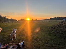 Lovely sunset :)
