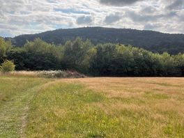 View of the field to the side of the site