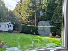 Inside: view from kitchen window