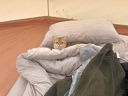 Is it bedtime yet?