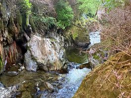 River next to camp