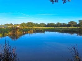 Pond in woodland behind campsite
