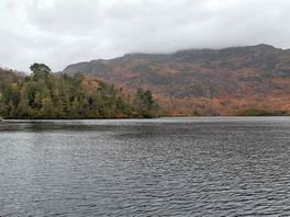 From the view point.