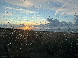 Rainy view
