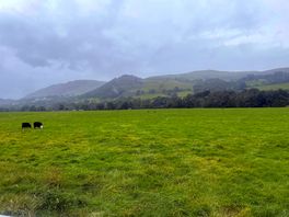 Views nearby