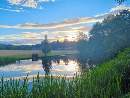Pond on site