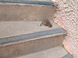 Filthy stairs going to the sanitary facilities.