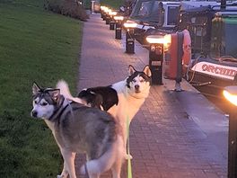 So peaceful at night