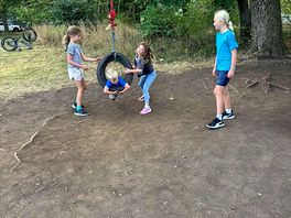 Tyre swing