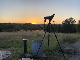 Birdwatching from the cabin