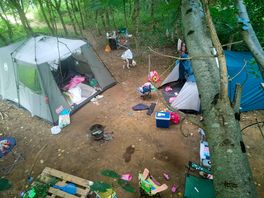 View of our pitch taken from up a tree