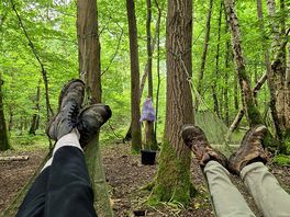 Hammocks