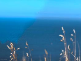 Sea view from the site