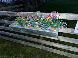 Flowers clearly show the owner brings beauty and bright to the site, as well maintained