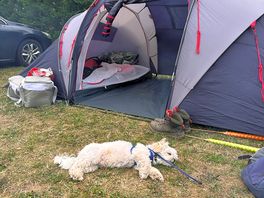A busy day