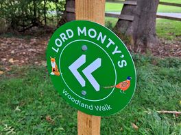 Woodland walk
