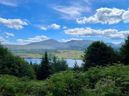 View from the woodland walk onsite