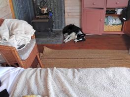 Log burner